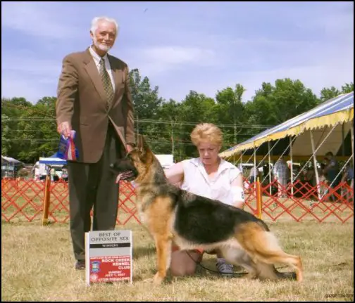 Eventide's Hollyhock
