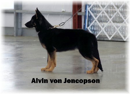 Alvin Von Jencopson