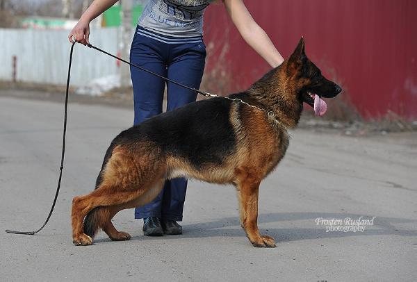 Zebah  von Vishenhoff