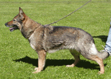 Onja vom Gasthaus zum Erlenloch