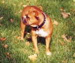 Raw Dawg's Beth