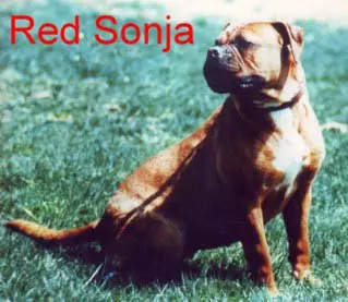 Raw Dawg's Red Sonja