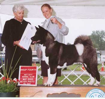 AKC CH Countryside's Shades Of Pride