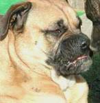 RUC CH Leon