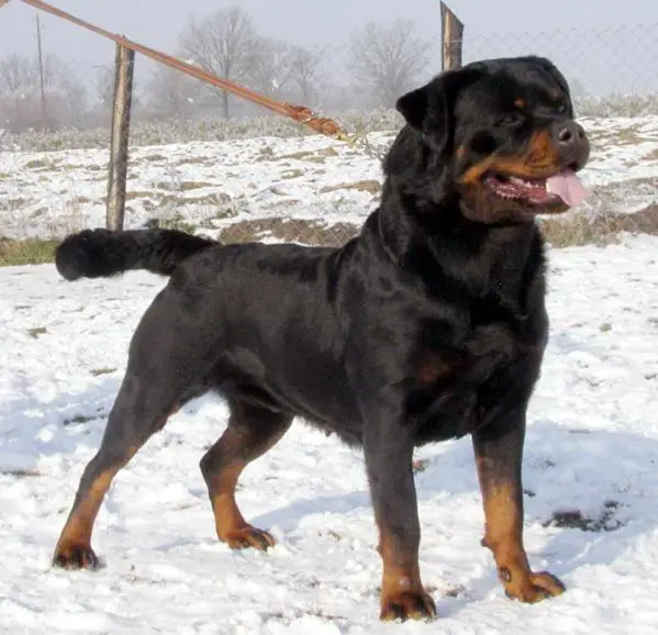5/2CAC, UNG. KS Bo od Vadanora