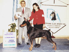 CH. De lex Luthor Apollo