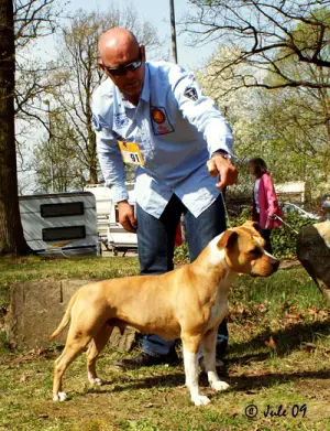 CH. CLUB WINNER Ringmaster Asta La Vista Baby