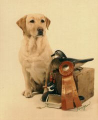 Ransom's Persuasive Pursuit