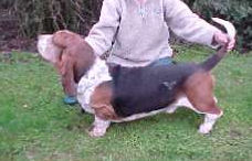 Filibuster van de haelfe maen