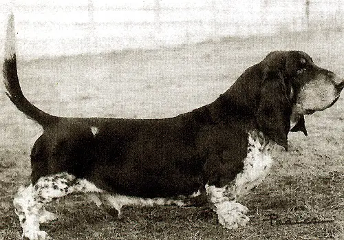 Lyn Mar Acres Endman