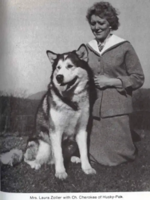 Cherokee of Husky-Pak