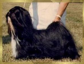 Suntory Affirmative Action