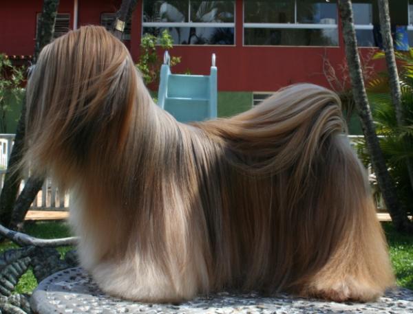 *CA* Courtney Love of Excalibur Quest