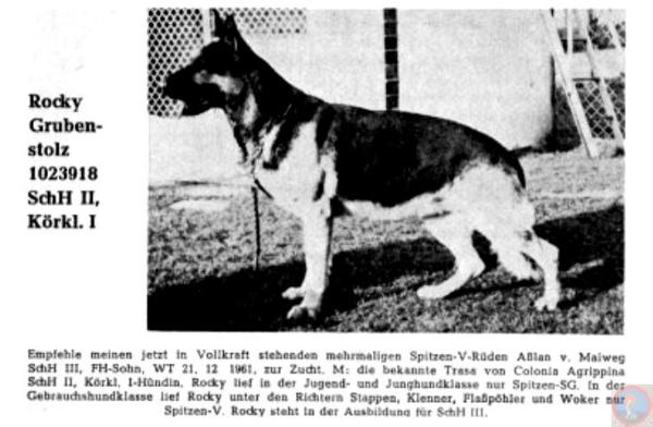 Rocky Grubenstolz