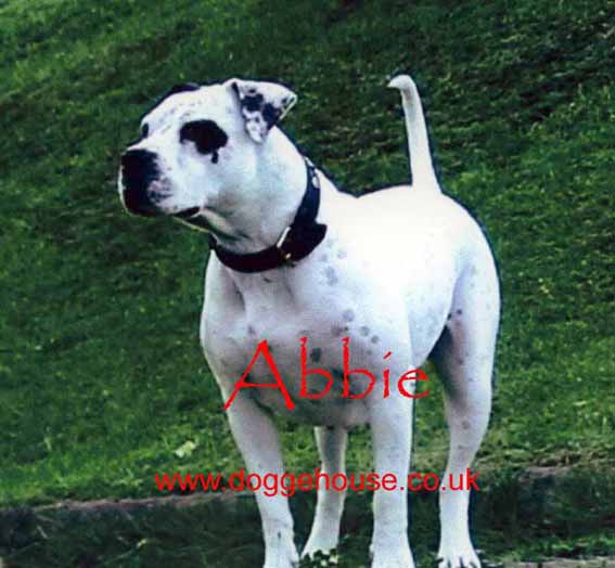 Tucker's Abbie