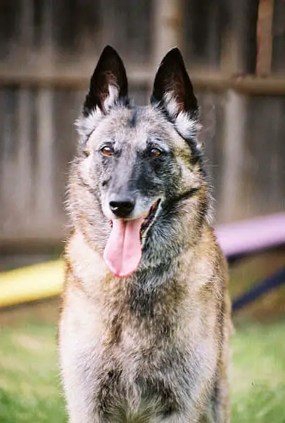 CH U-CD Crocs-Blancs Volcanic Ash