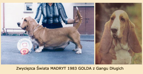 Golda Z Gangu Dlugich