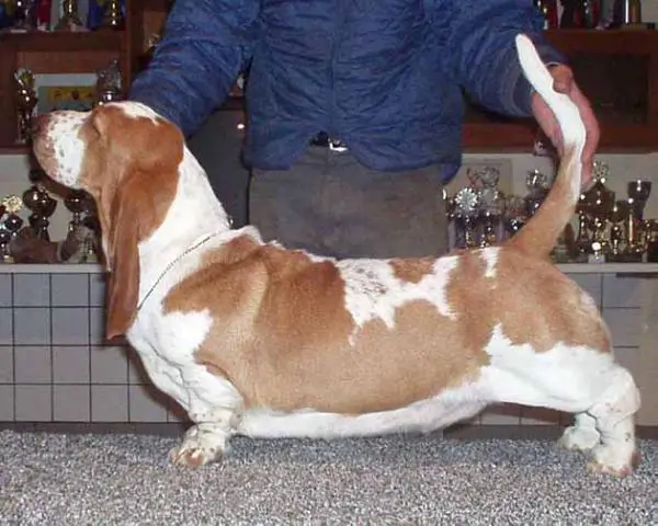 Freya Turguesa Playa