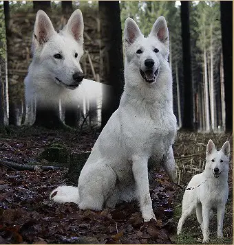 Kaya-Juma von der Nordhelle