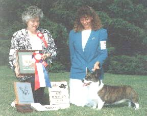 Phi-Vestavia Pirate's Patch