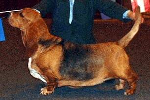 Fergie dos sete moinhos