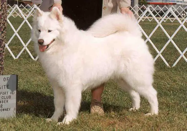 Wolf River's Sea Breeze