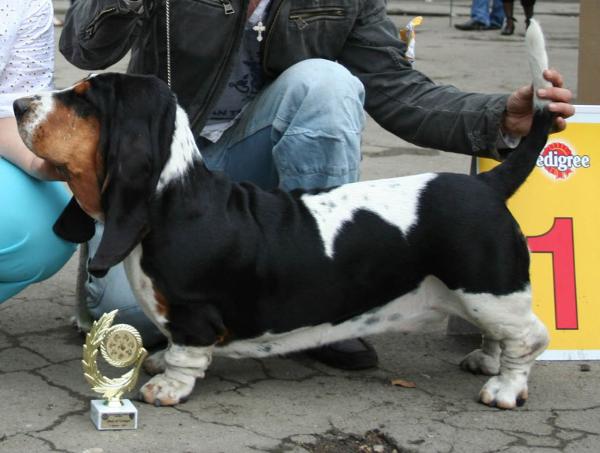 Chachi turguesa playa