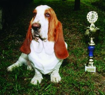 Cortes St'Astna Chvil'A