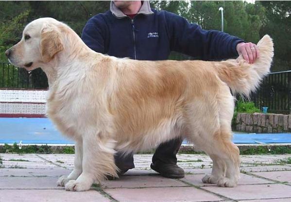 Toscane du Bois de la Rayère