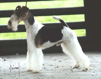 ENGL / ITAL CH ESG Travella Strike Accord