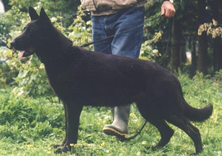 SG Laura von Karthago