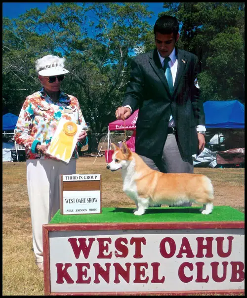 AUS.CH Anwyl Last Tango