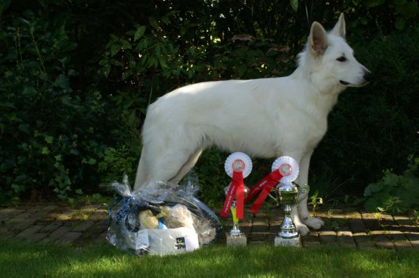 Eljayno From Wihehokewa