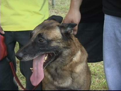 Poker du Vieux Marronnier