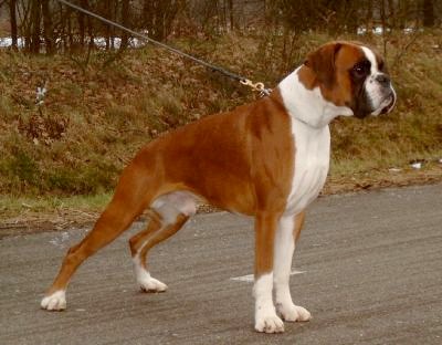 Mikayla van Wordanis