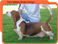 Park melody erotic design