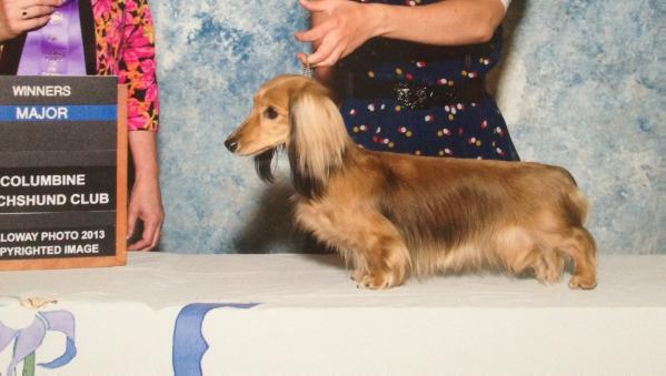 AM/ UKC CH Largh Pah Enchantress Kira V Doxhaus