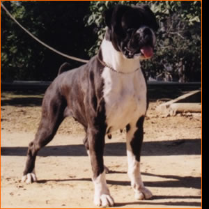 Diva de Puerto Marina