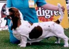 Beauchasseur Parfait