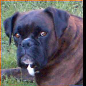 Hemma de Puerto Marina