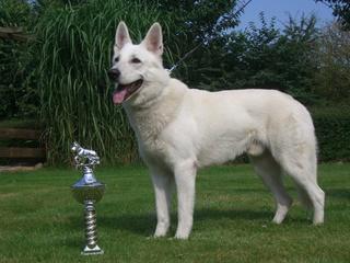 Xeus-Namaja vom Wolfsgehege