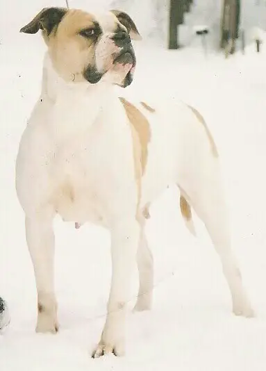 Hooper's She's All That