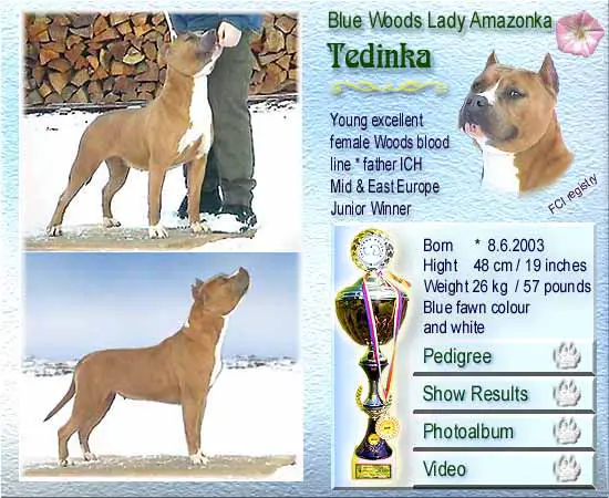 Blue Woods Lady Amazonka