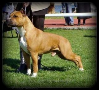 CH PL ,SE Woodforest AN EZ PERFECT TEN