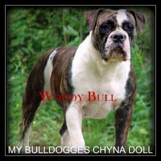 My Bulldogge's Chyna Doll