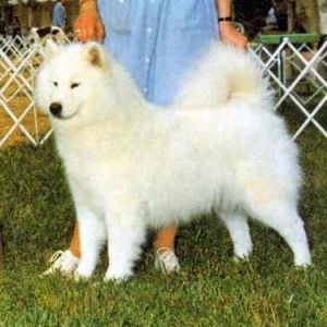 Mithril's Star of Kheledzaram