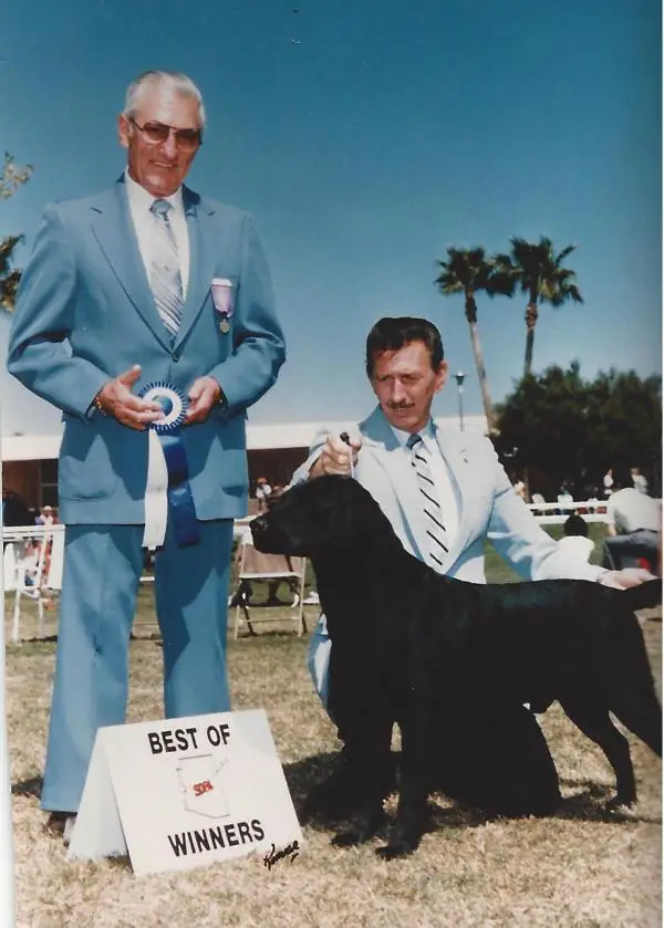 Alii O'Koolau's I Blackout