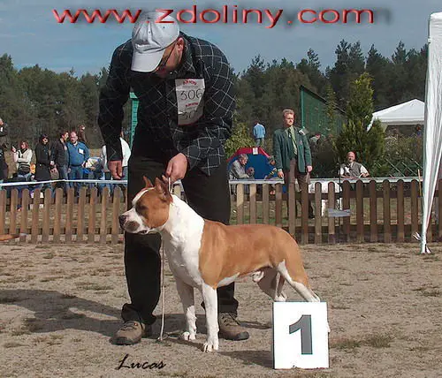 Follow Your Heart z Doliny Jezierzycy