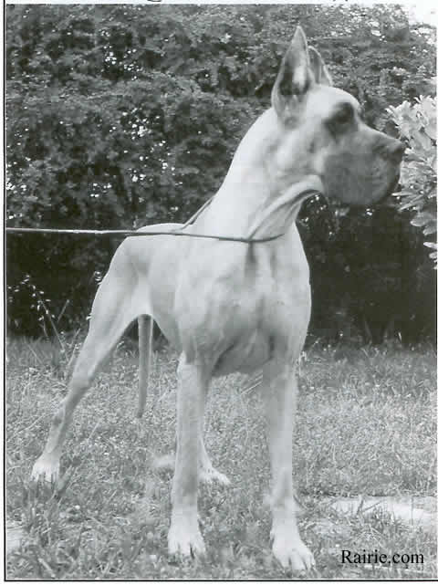 Grimm De Baussenque