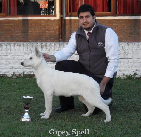 Gipsy Spell de White Friend